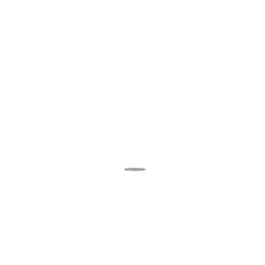 239418595.jpg