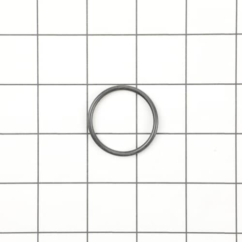 239419504.jpg