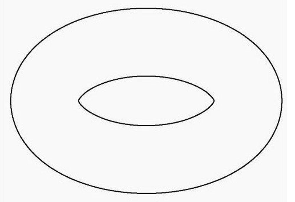239437703.jpg