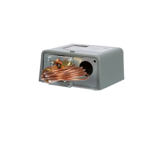239437995.jpg