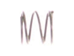 239440434.jpg