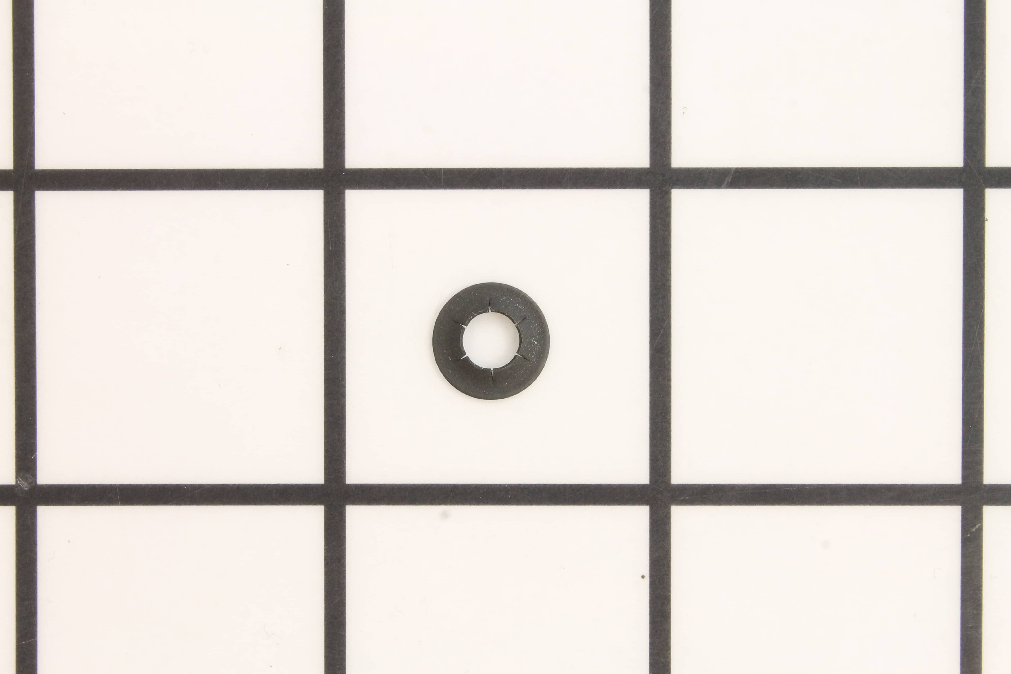 239444822.jpg