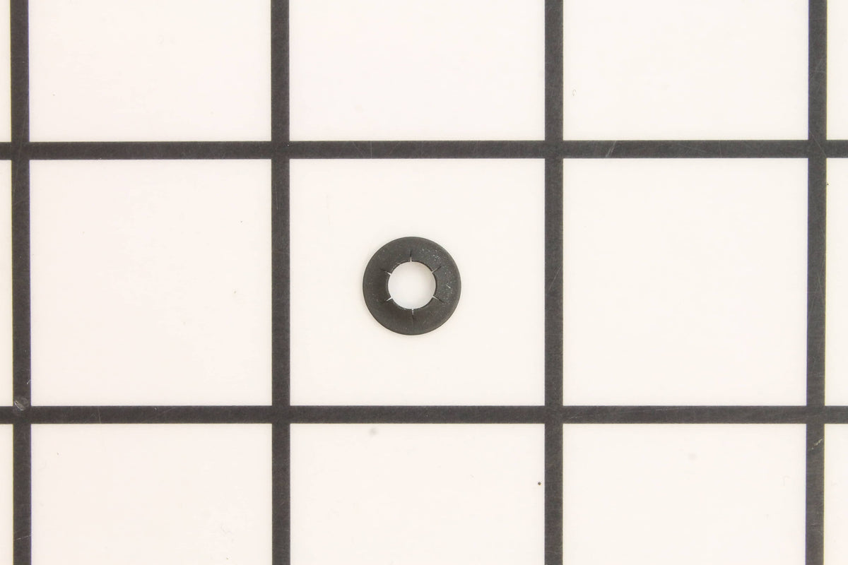 239444822.jpg