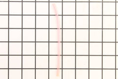 239444961.jpg
