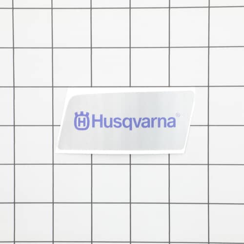 239446293.jpg