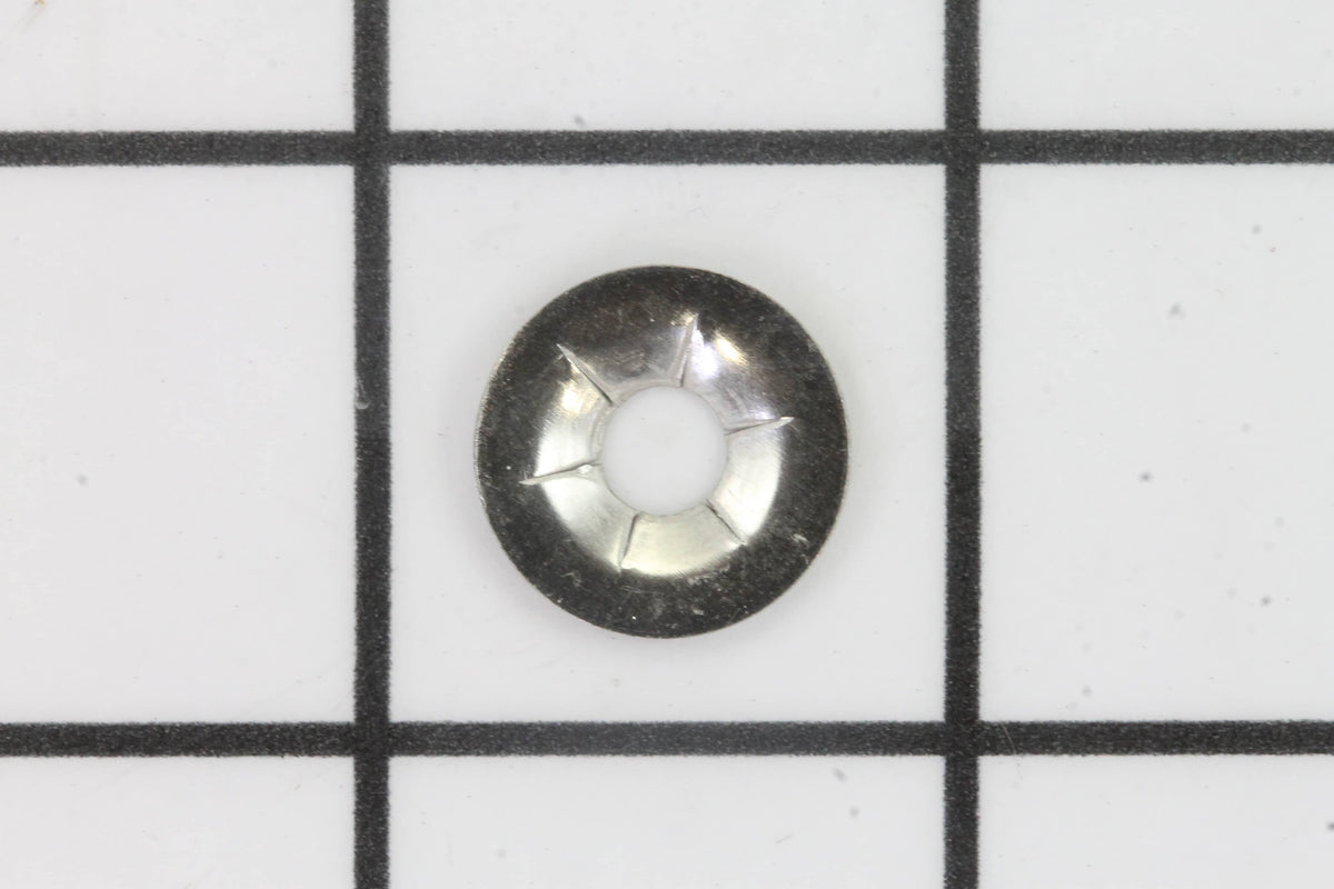 239446382.jpg