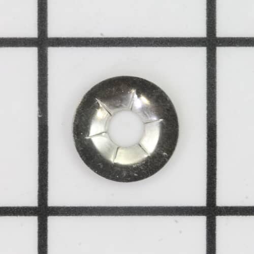 239446383.jpg