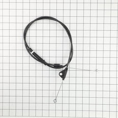 239446813.jpg