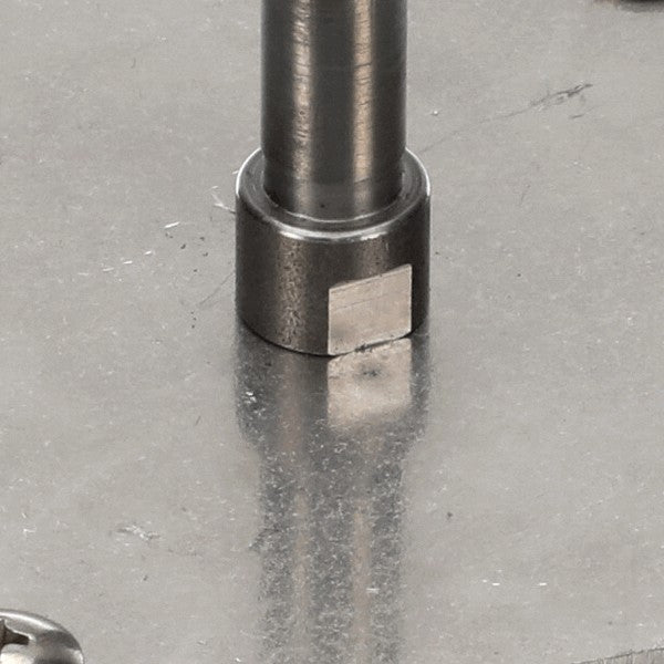 239461588.jpg