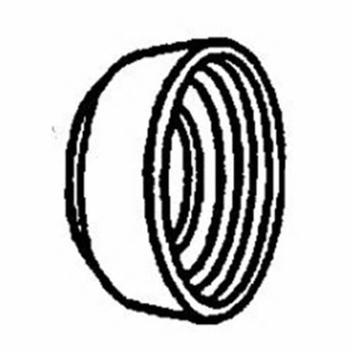 239462564.jpg