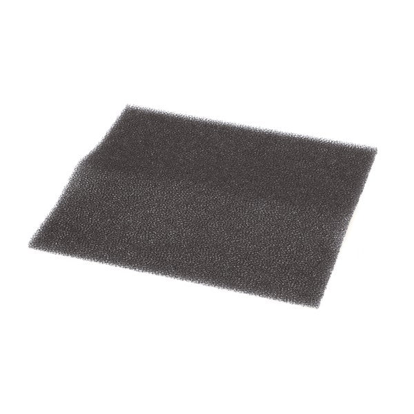 239981595.jpg