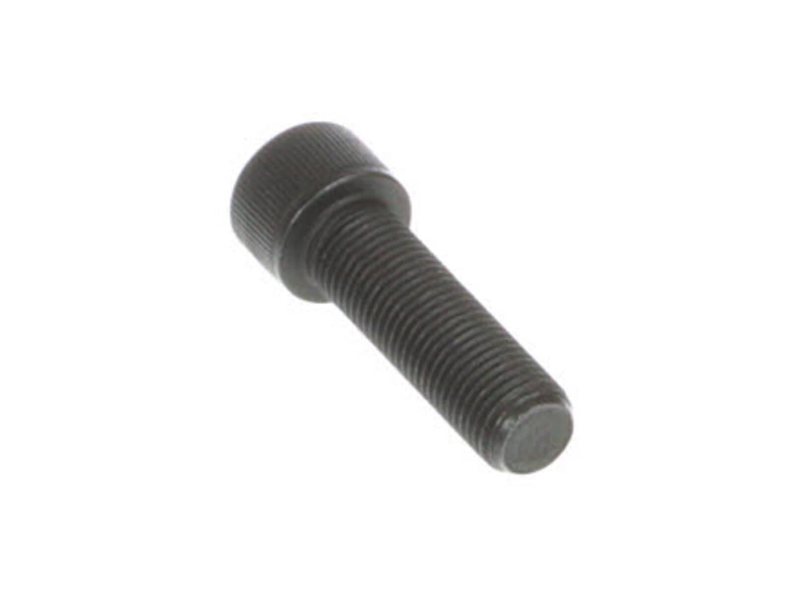 239999831.jpg
