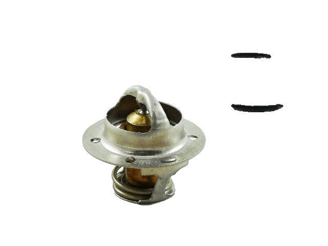 Laars 2400-029 Thermostat & O-Ring