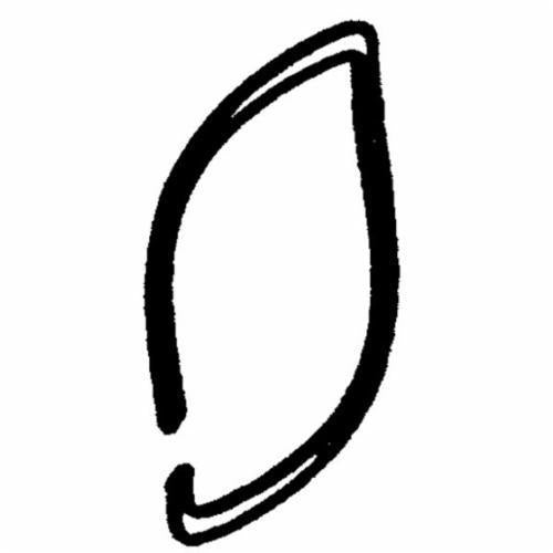 240100256.jpg