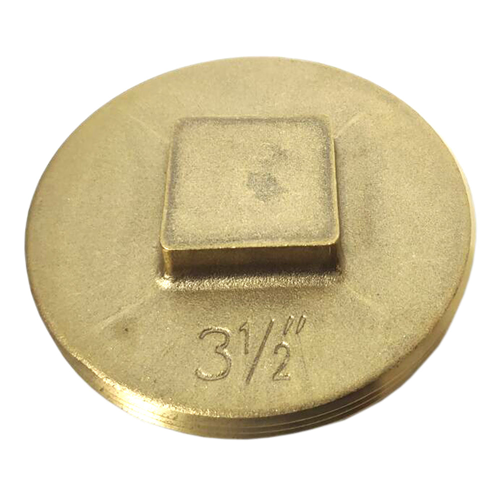 240118784.jpg