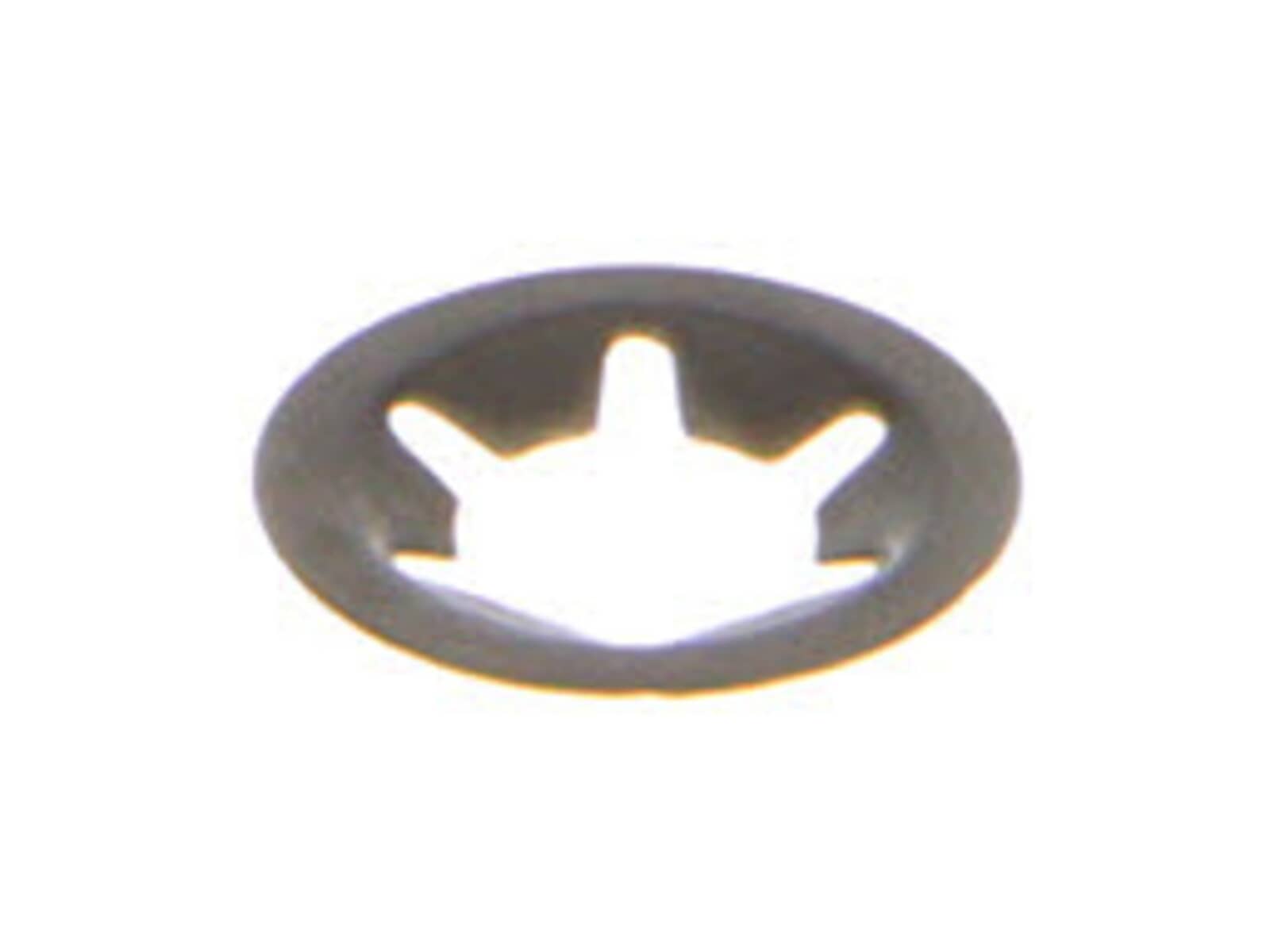 240369955.jpg