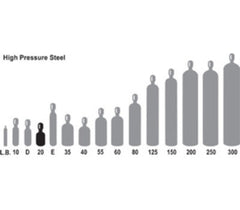 240384846.jpg