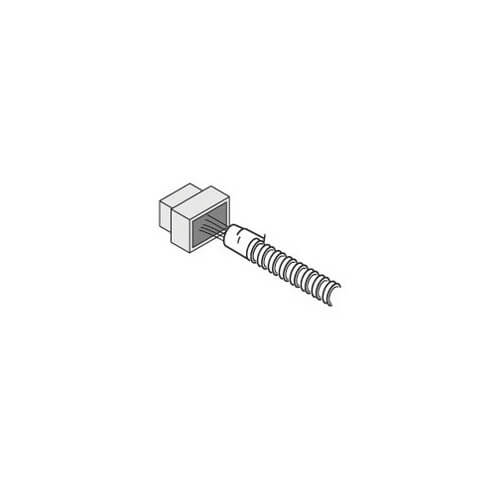 240387442.jpg