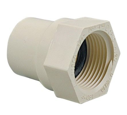 240388597.jpg