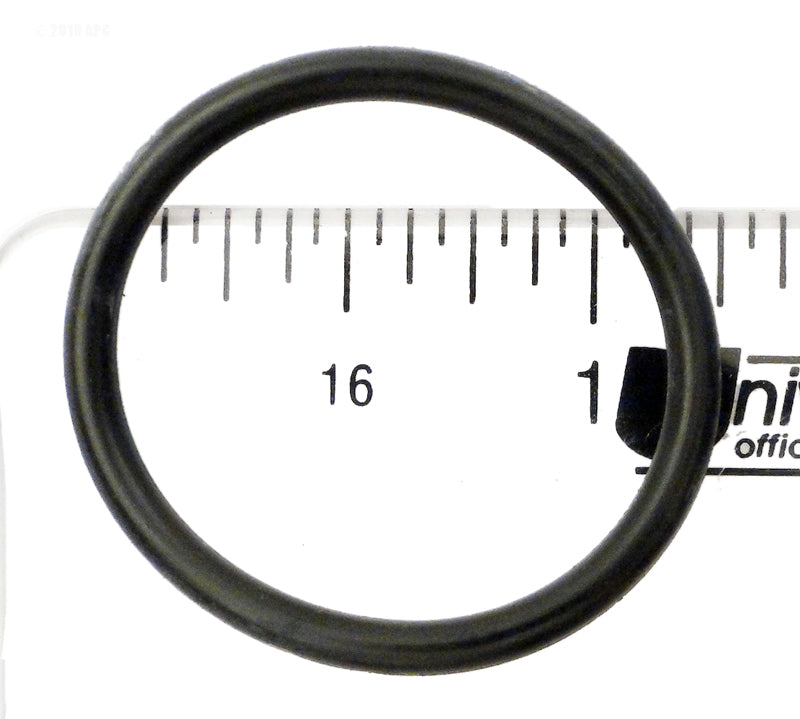 240467742.jpg