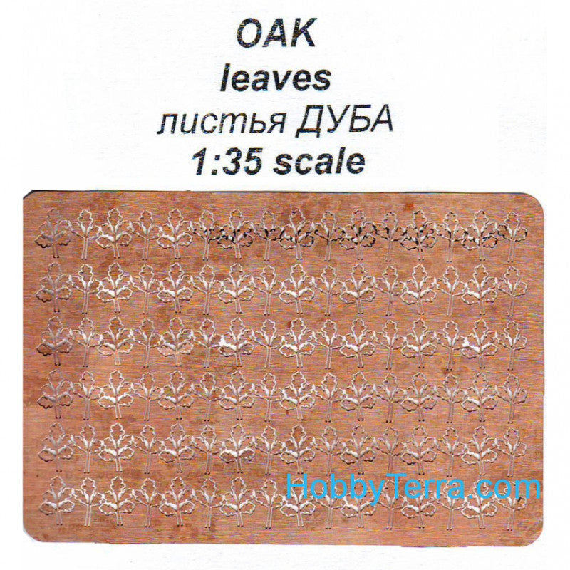 240476517.jpg