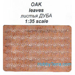 240476517.jpg