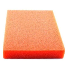 240477002.jpg