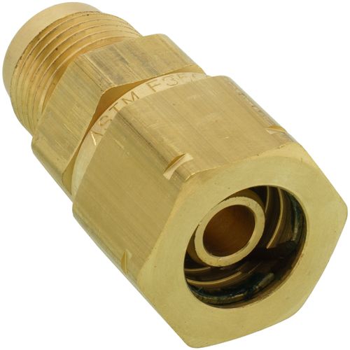 240483433.jpg