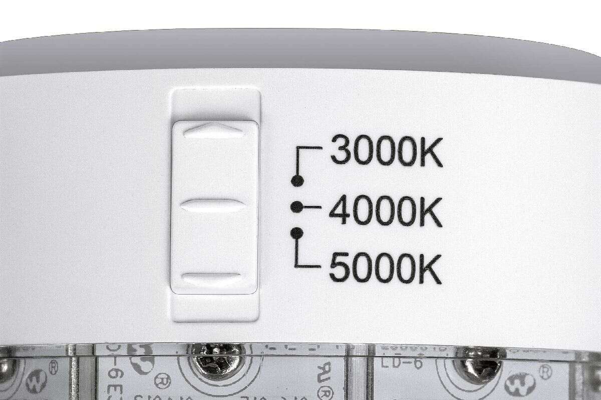 240491500.jpg