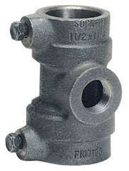 240495035.jpg