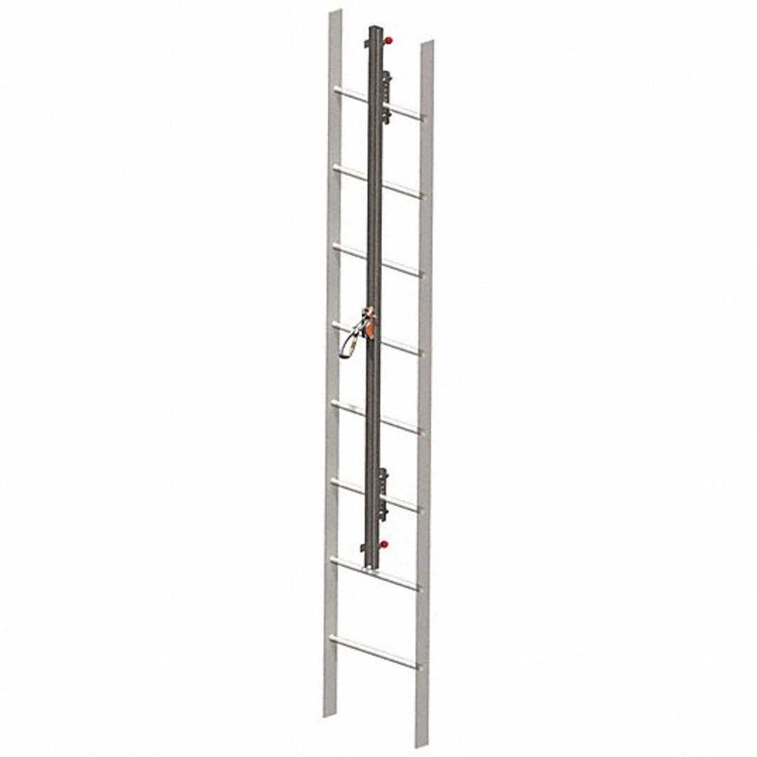 240497562.jpg