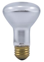 240500001.jpg