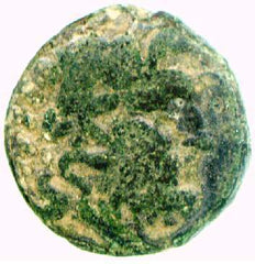 240508524.jpg