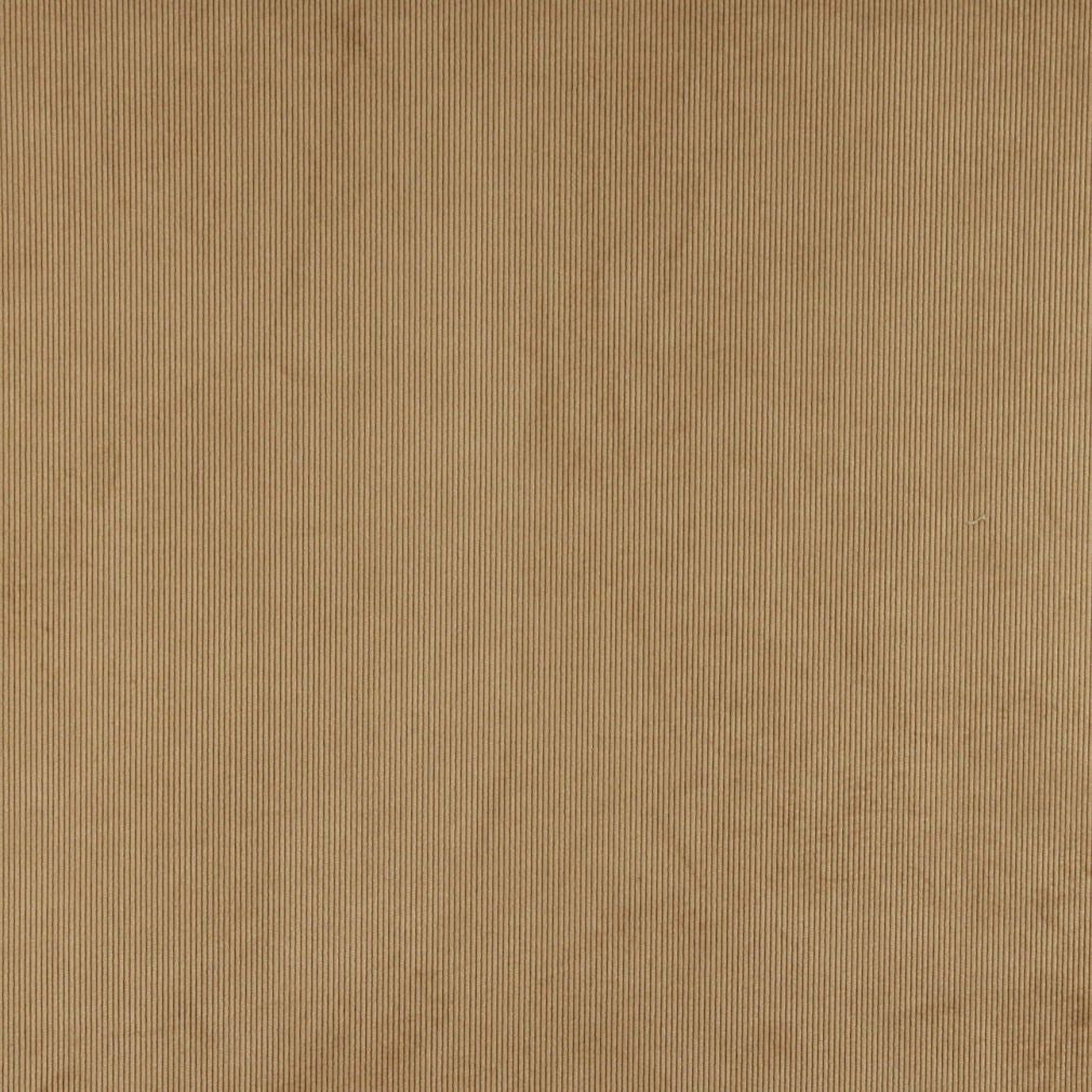 240509495.jpg