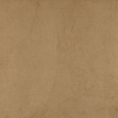 240509495.jpg
