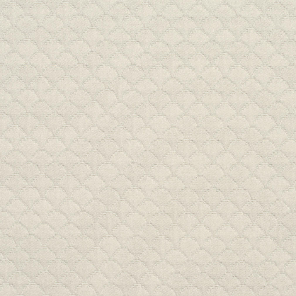 240509505.jpg