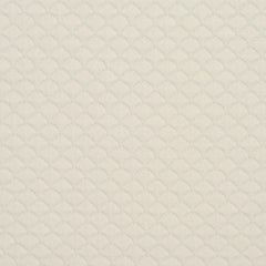 240509505.jpg