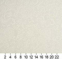 240509522.jpg