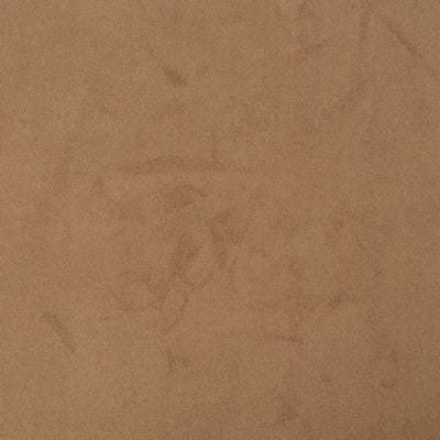 240509598.jpg