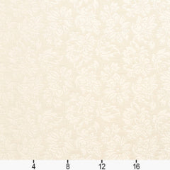 240509687.jpg