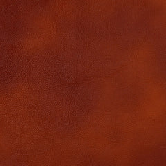 240509832.jpg