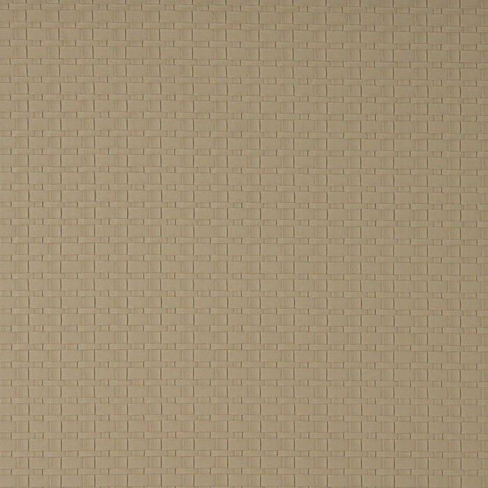 240509924.jpg