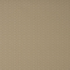 240509924.jpg