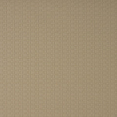 240509925.jpg
