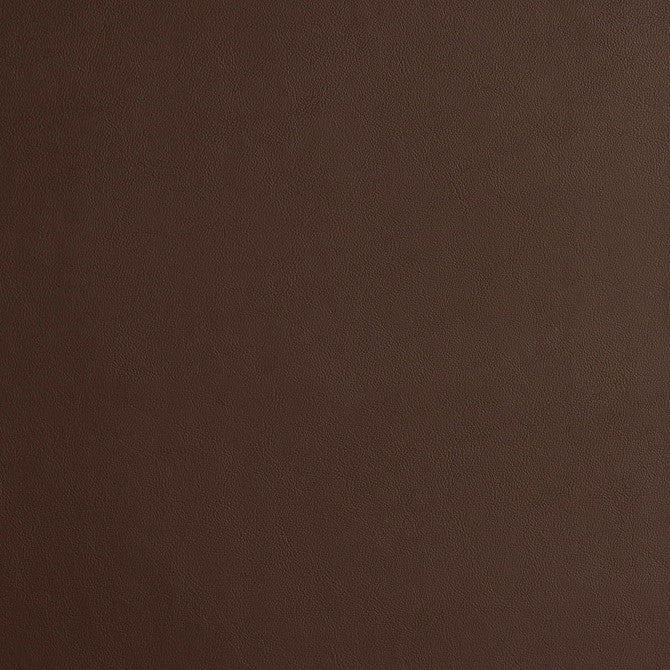 240509952.jpg