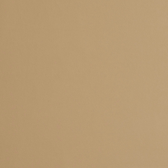 240509983.jpg