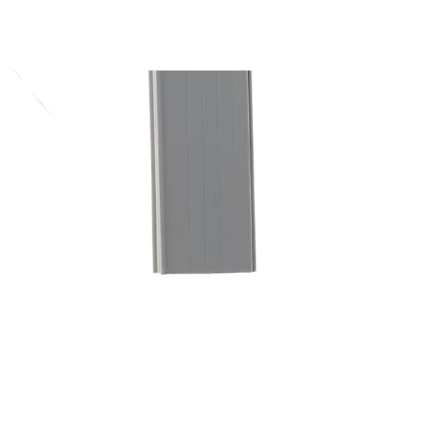 242350970.jpg