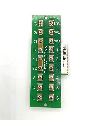 245743687.jpg