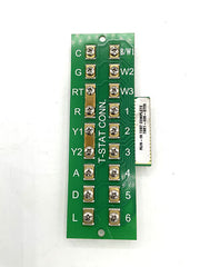 245743687.jpg