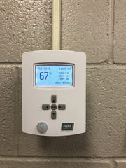 245744421.jpg
